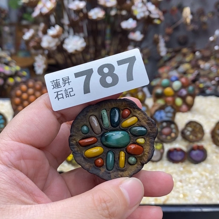 核桃木/黑胡桃（胡桃木）海*787