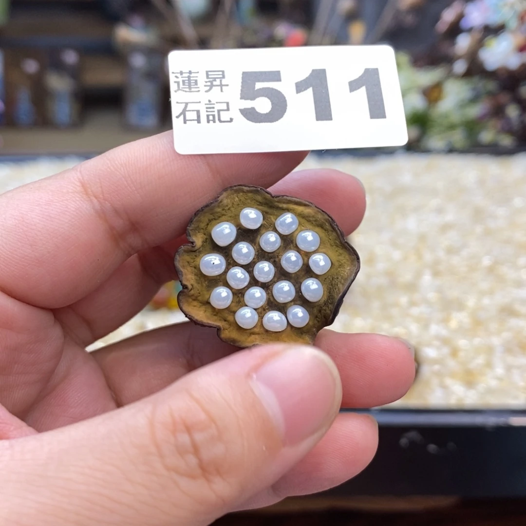 核桃木/黑胡桃(胡桃木)爱****511
