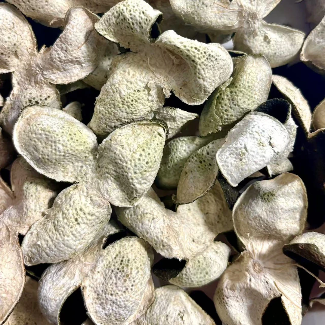 【梁总推荐/C860】新会陈皮  2024年南坦老树 青皮 油皮仔