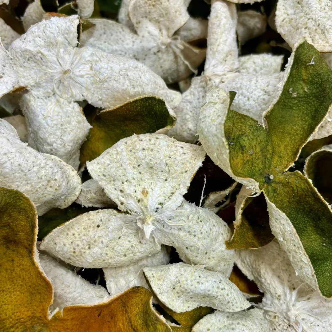 【梁总推荐/C890】新会陈皮  2024年南坦积壳二红皮