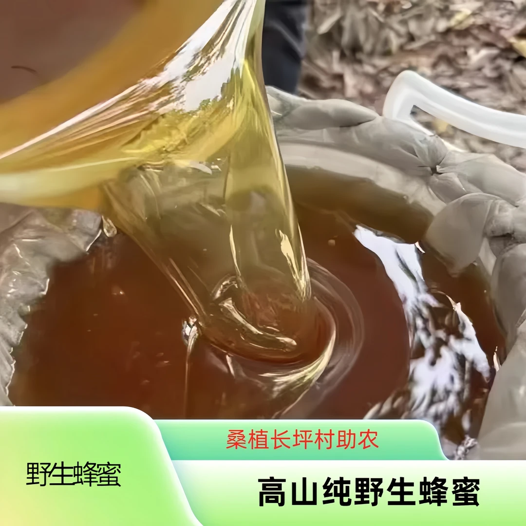 农户高山野蜂蜜 农户农货