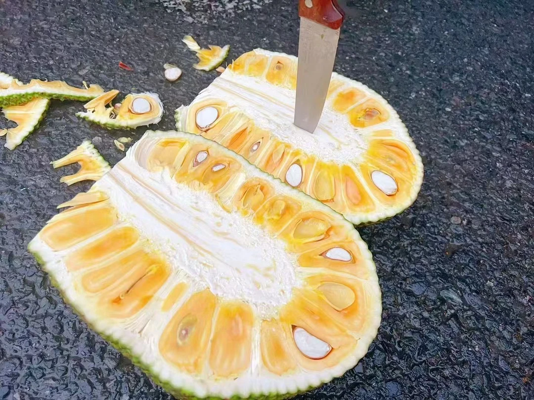 越南红肉菠萝蜜一颗