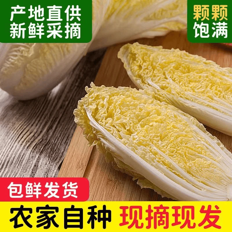 【现砍现发】霜打自种/新鲜当季时令蔬菜火锅娃娃菜黄心小白菜5/9斤