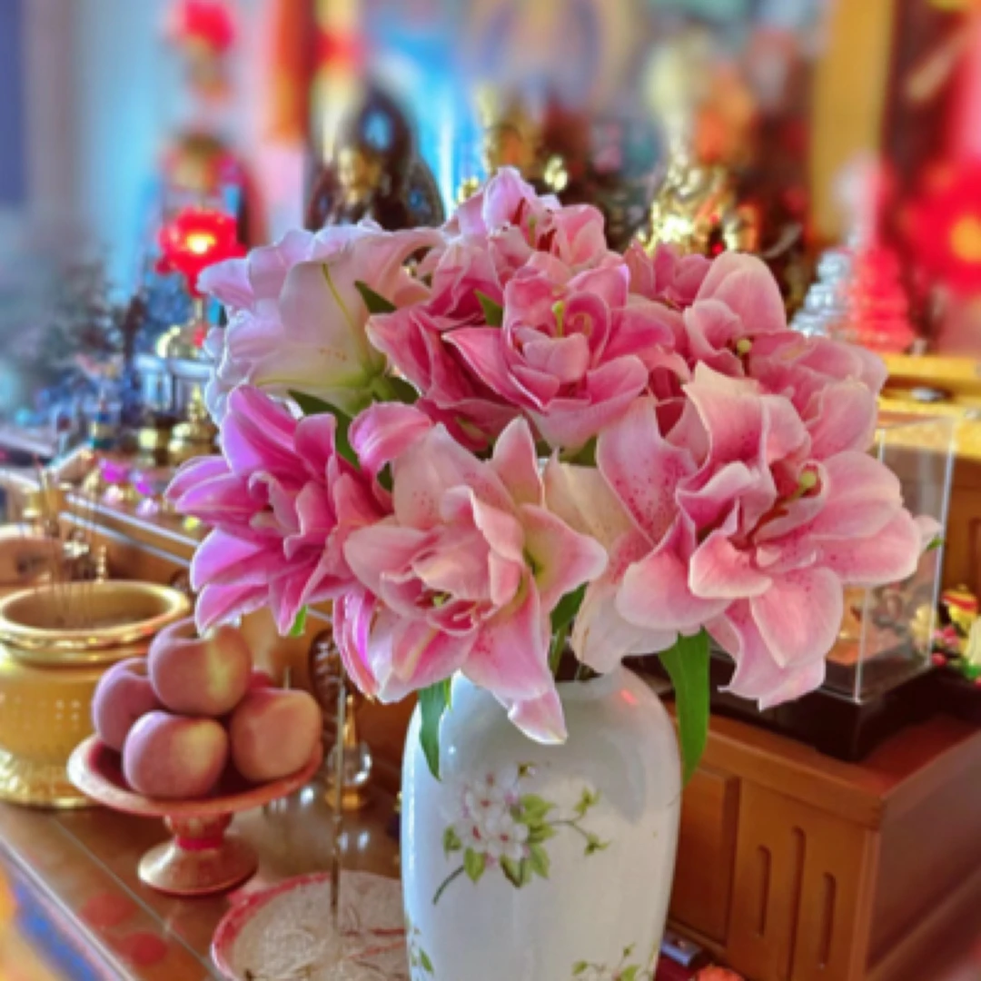 非金属布艺婚庆饰品 ^_^护生小居（h ua）