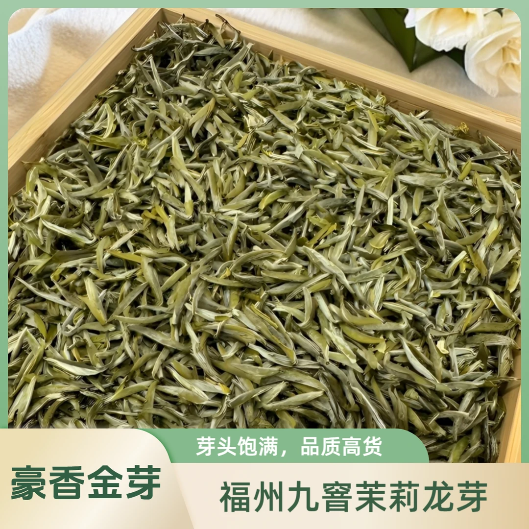 24年新茶福州九窨茉莉龙芽九窨豪香金芽口感清香花香柔和回味甘甜