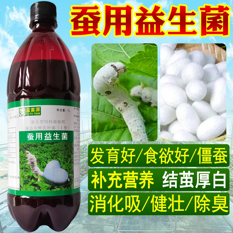 益富源蚕用益生菌喷洒桑叶喂蚕养蚕专用益生菌蚕健壮蚕茧白厚不臭