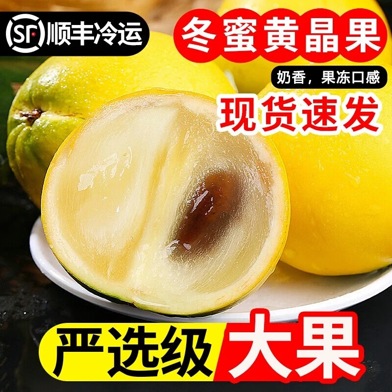【表妹推荐】冬蜜黄晶果 雅美果 版纳特产高端水果 黄金果牛奶果