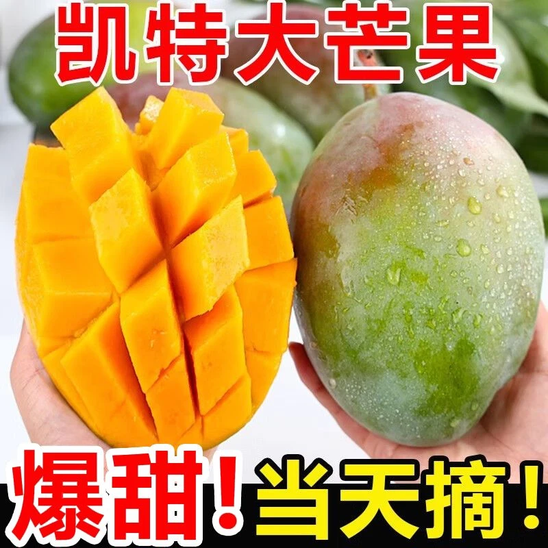 四川攀枝花凯特芒5/9斤装现摘现发核小肉厚催熟食用[