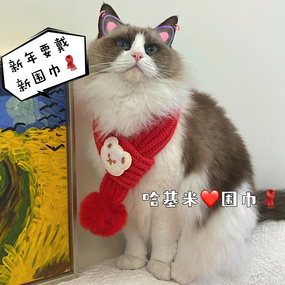 宠物新年围脖围巾秋冬季狗狗口水巾红色小猫咪可爱佩戴编织装饰品