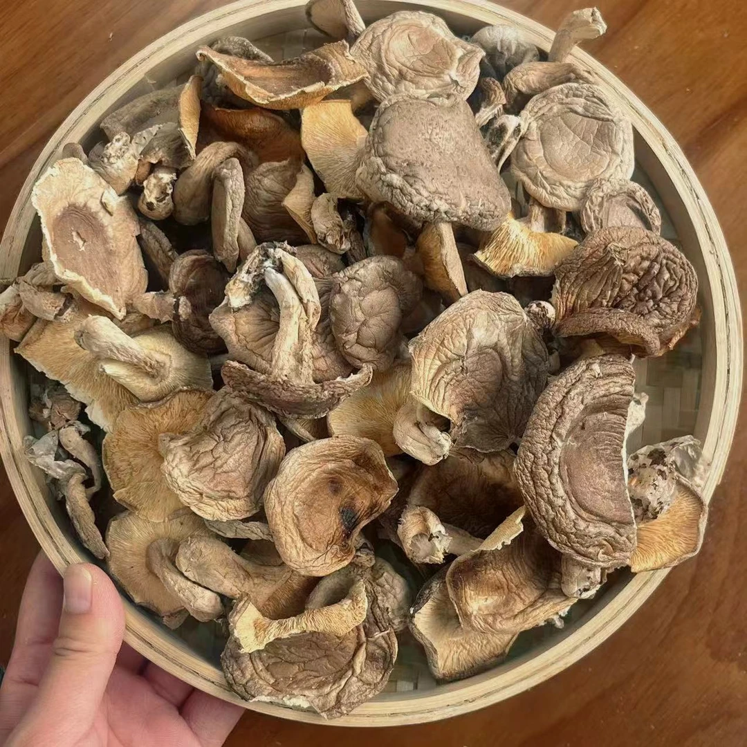 特产新鲜带脚干蘑菇肉厚煲汤香菇无添加无硫农家自产香菇（带脚）