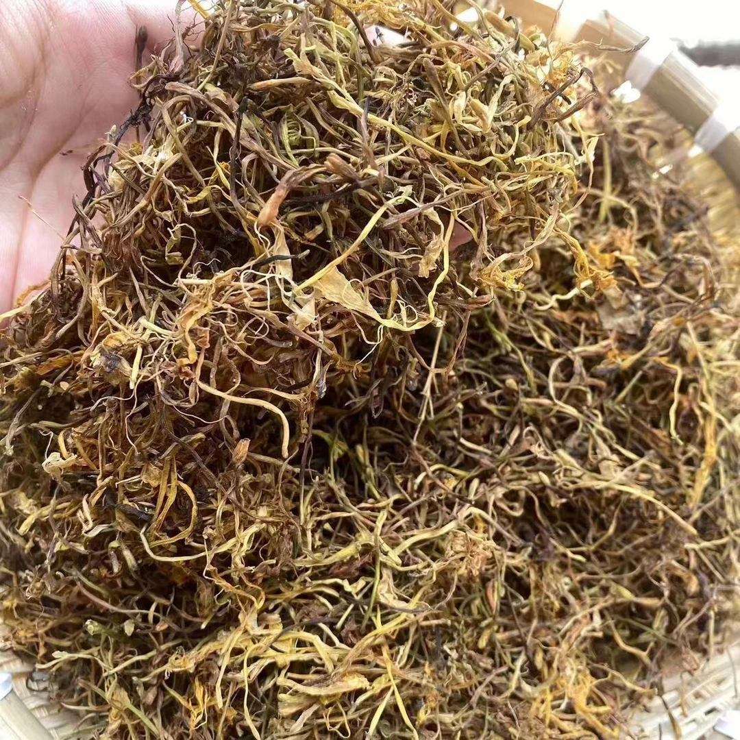 高山 农家 金银花