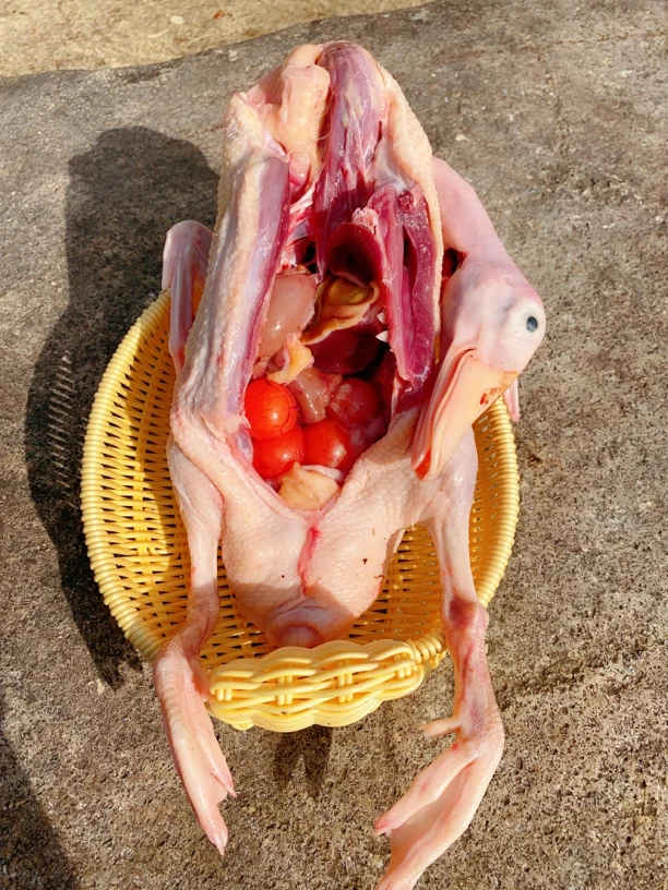 皖南正宗放养土鸭三年