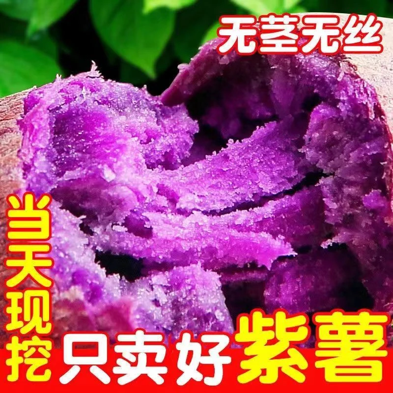 A【新人福利】湖北沙地新鲜紫薯紫罗兰紫心番薯粉糯香甜粗粮代餐5斤