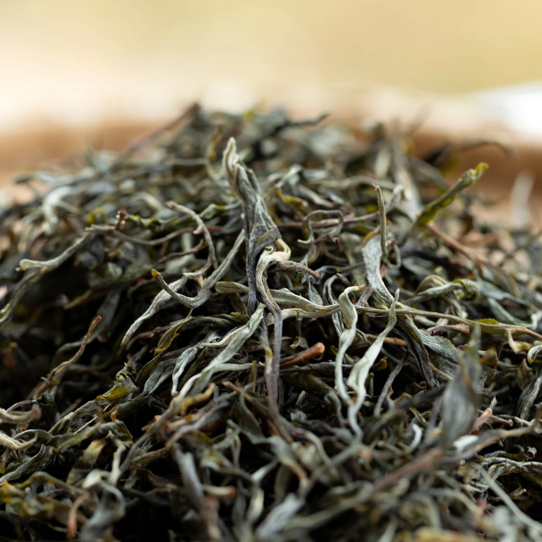 老同志2024年入山里千家寨 古树 晒青茶 100克