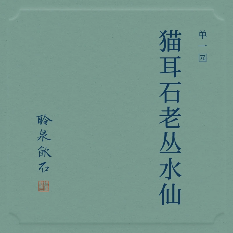 【聆泉饮石】2025年猫耳石老枞水仙 聆泉饮石乌龙茶 礼盒装