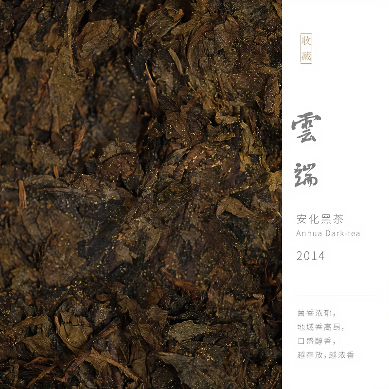 云端 2014茯砖茯茶湖南安化黑茶有金花