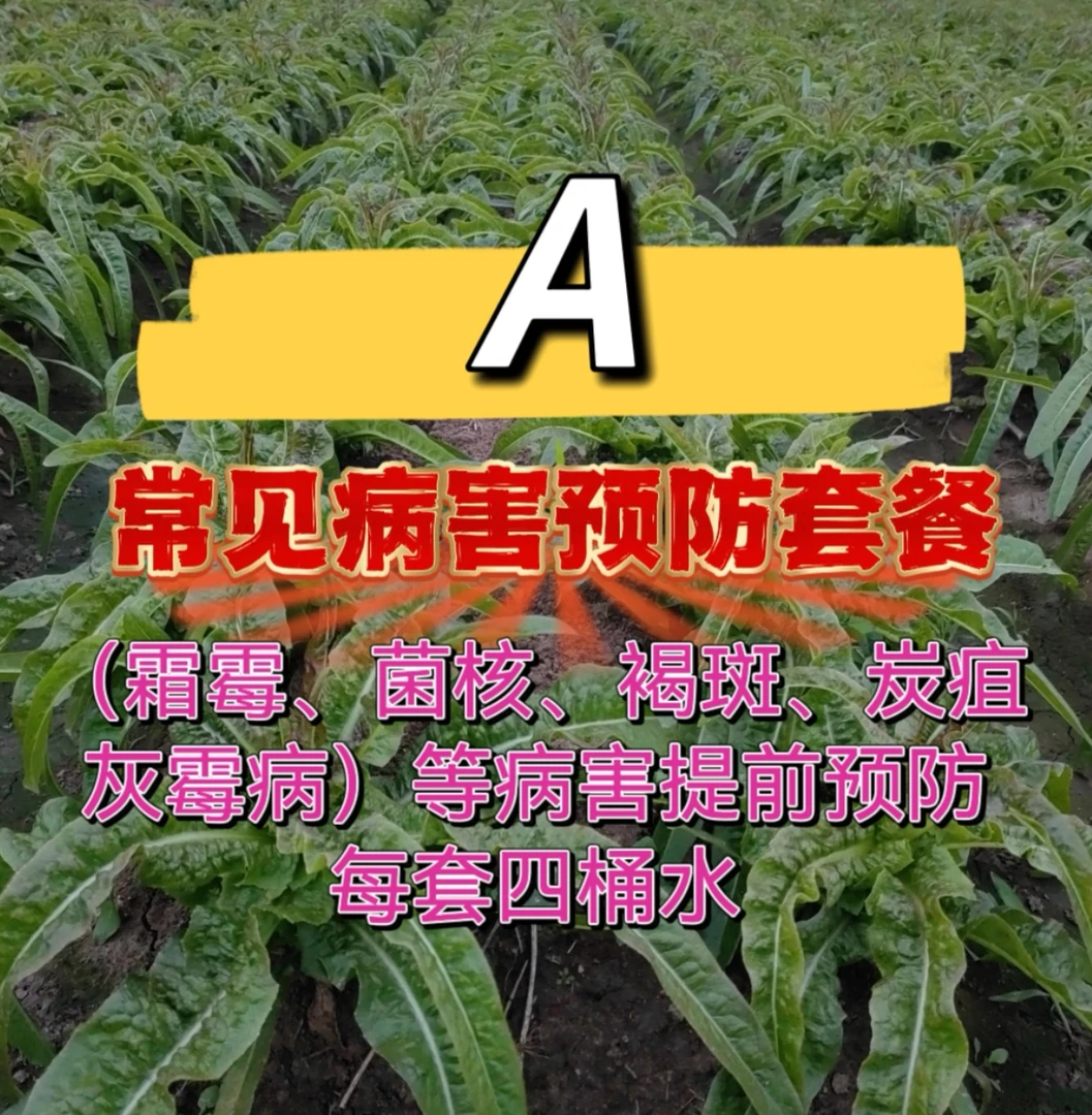莴笋常见病害预防套餐A，每套四桶水