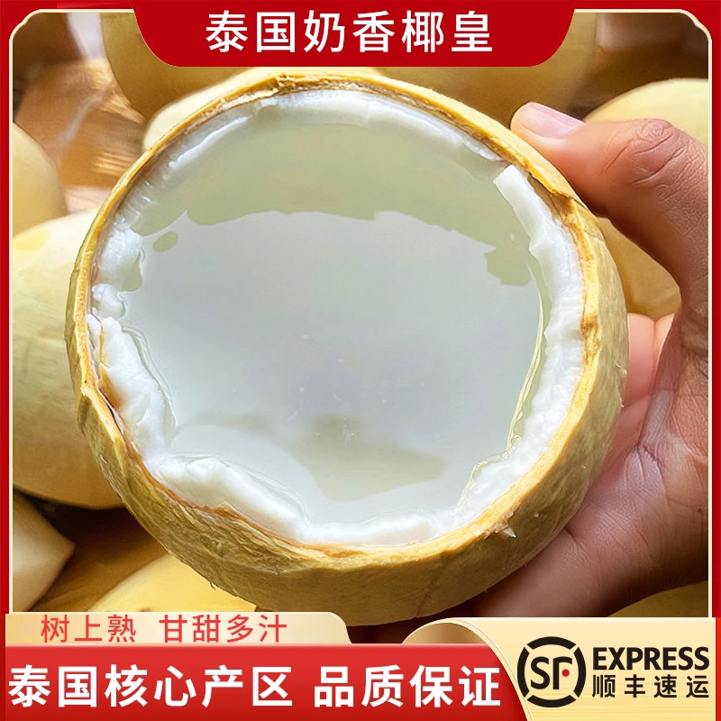 泰国进口椰皇奶香椰青新鲜香水椰子孕妇小椰子椰宝水果单果300克