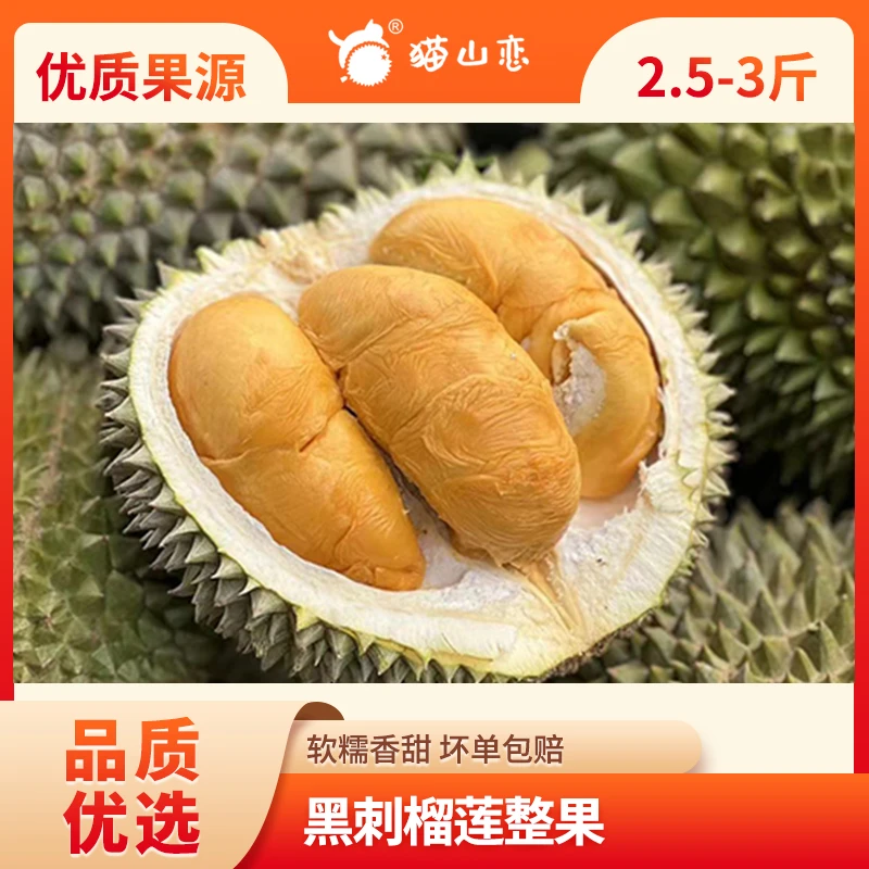 A级黑刺榴莲整果（2.5-3斤）
