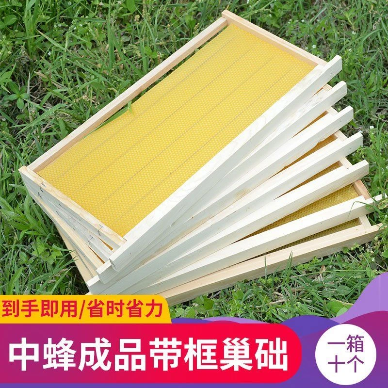 成品巢框批发中蜂巢础养蜂工具大全蜂具深房蜂巢