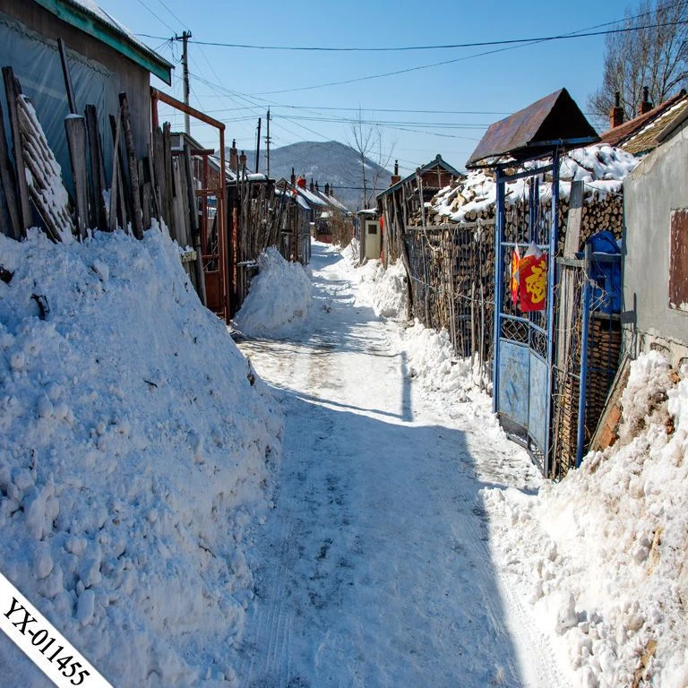 直播间主播背景墙3d农村房子拍段子东北雪景玉米房视频网红背景布
