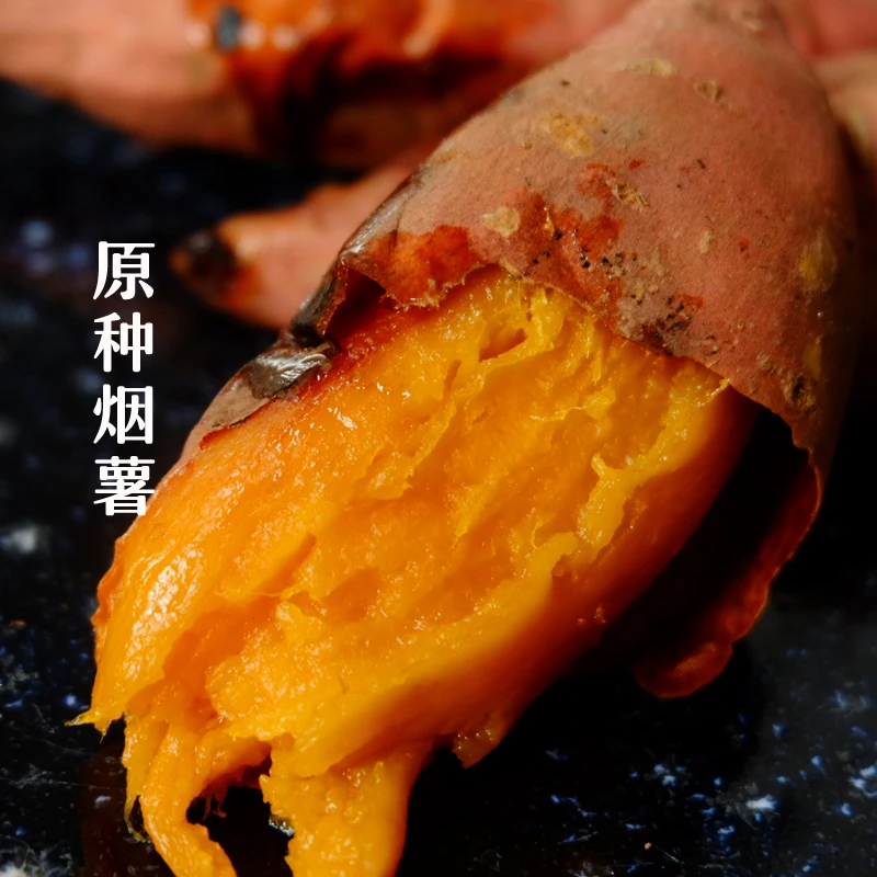 【中果】山东蜜薯烟薯25 流油蜜薯番薯烤地瓜清甜 山芋 净重3斤/5斤