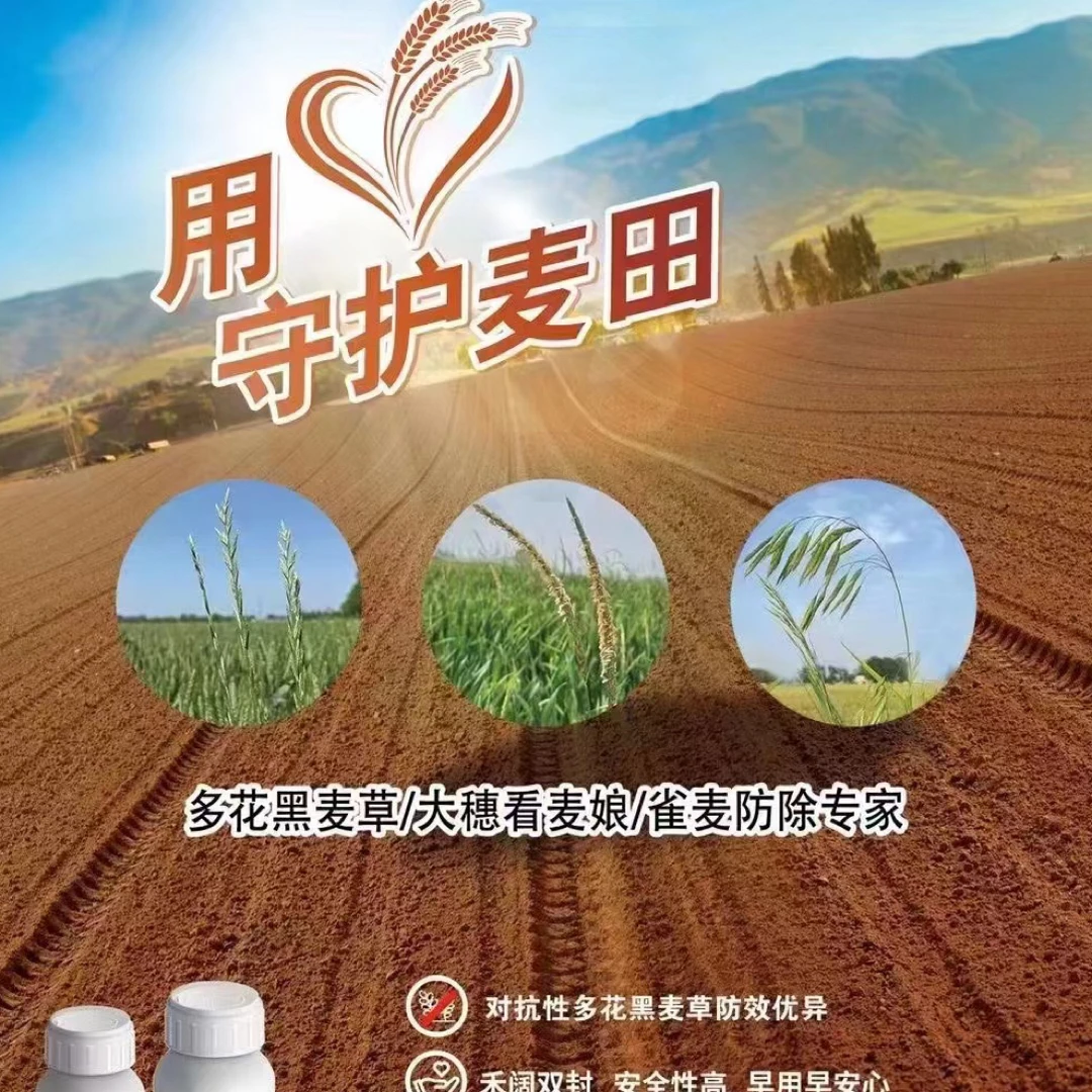 多花黑麦草/大穗看麦娘/雀麦防除专家心马50毫升加骄马60搭配套餐