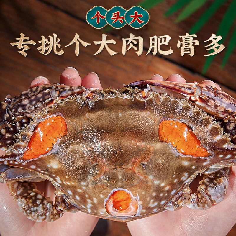 【女神节】4两左右淡红膏呛蟹7只到手舟山特产大梭子蟹咸鲜可口切块
