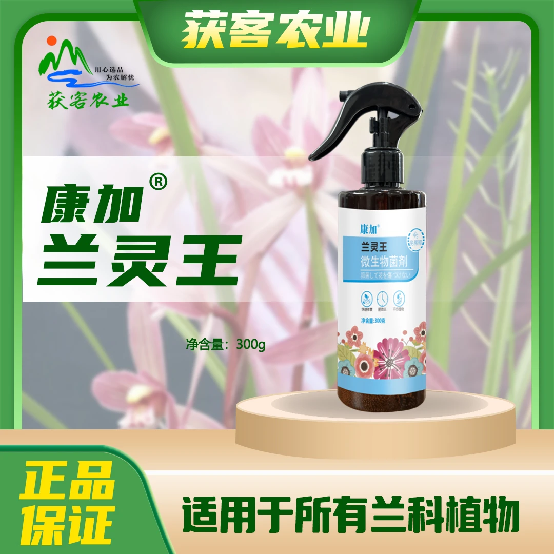 兰灵王兰花营养液肥料微生物菌剂兰蝴蝶兰陵王促花君子兰墨兰养花