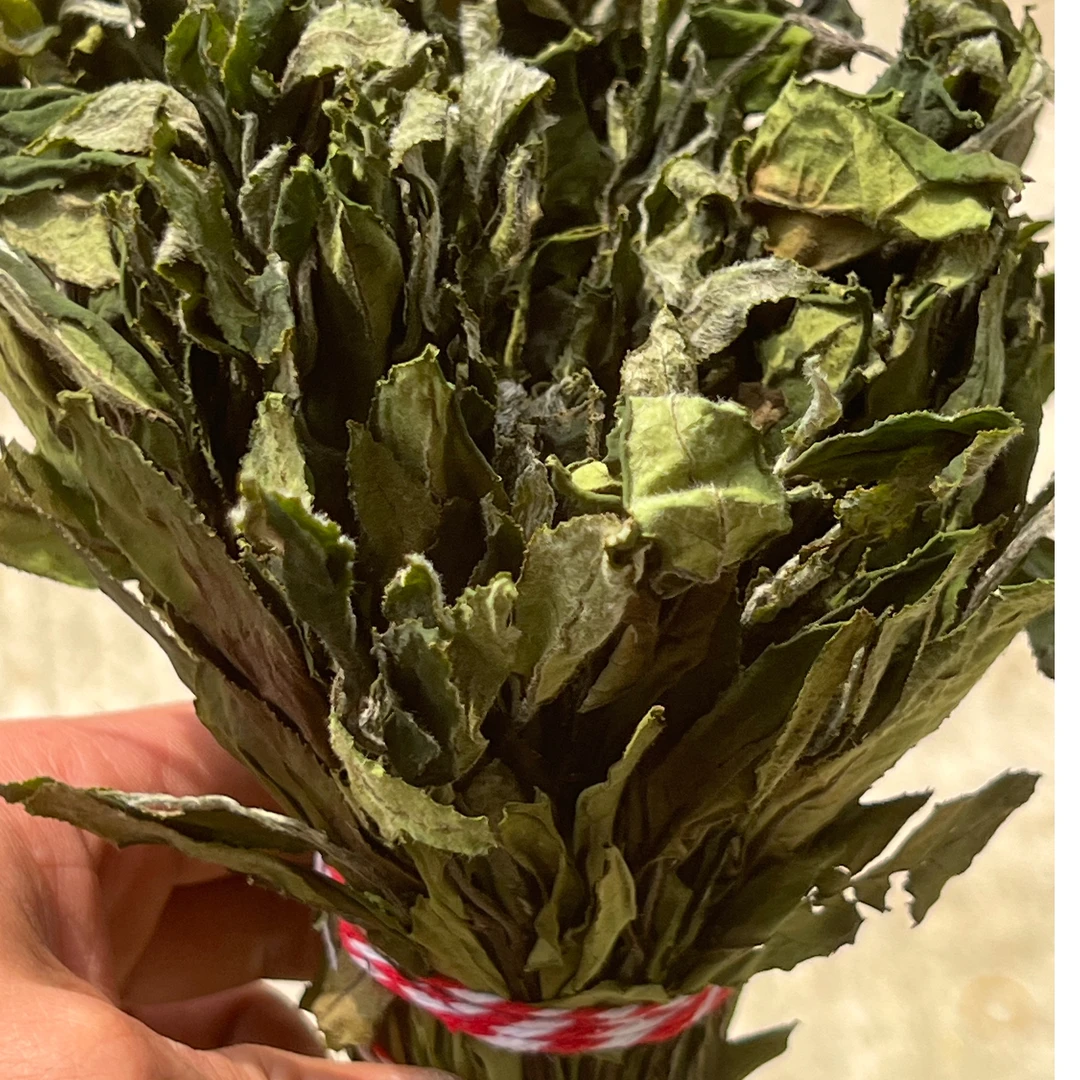 2023年云中管阳荒野扫把茶