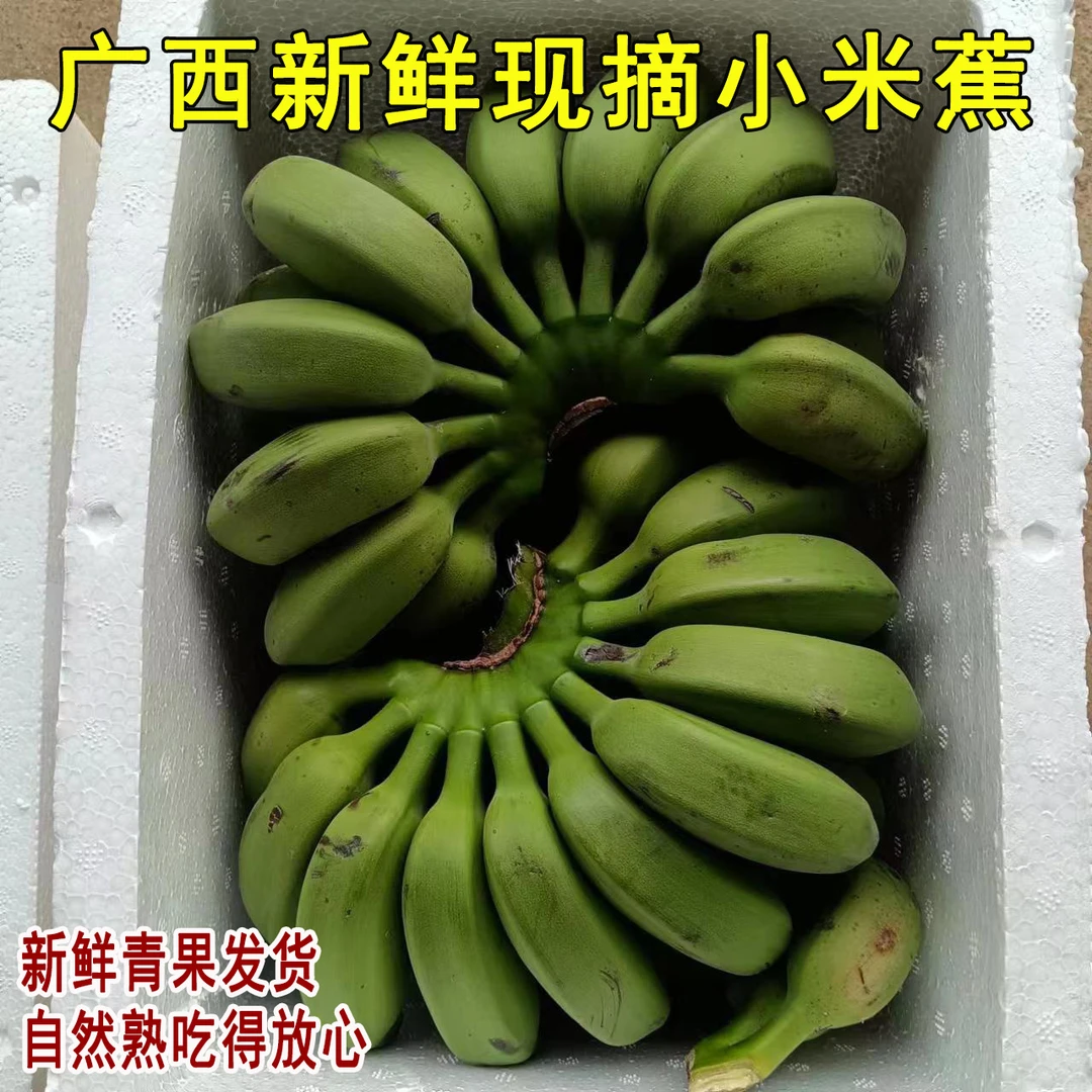 小米蕉粉蕉广西高山香蕉产地直销批发当季新鲜水果米蕉自然黄