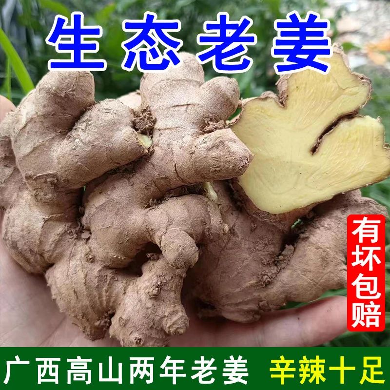 【9.9元2斤碎姜包邮】广西生姜老姜小黄姜新鲜现挖土姜月子姜辛辣