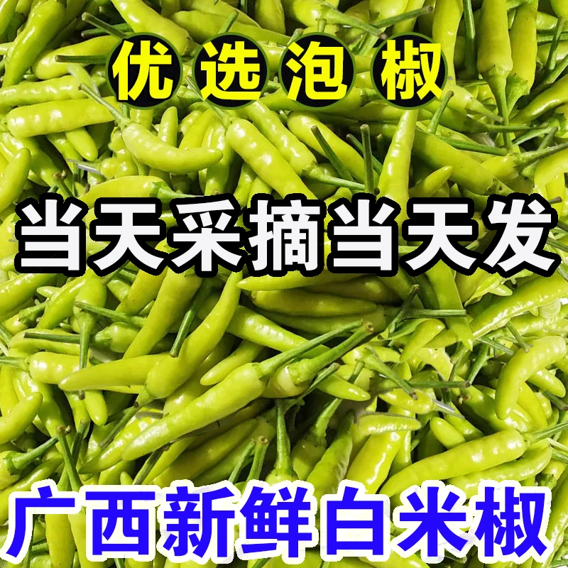 广西新鲜白米椒小米椒农家鸡爪泡椒白朝天七彩泡酸红野山椒特辣椒
