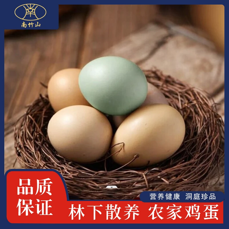 专林间散养特大鸡蛋包破损新鲜土鸡蛋