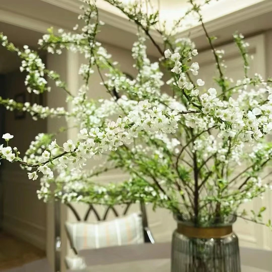 雪柳鲜枝干枝盆栽水养插花水培花植物室内花卉好养活绿植遇水开花