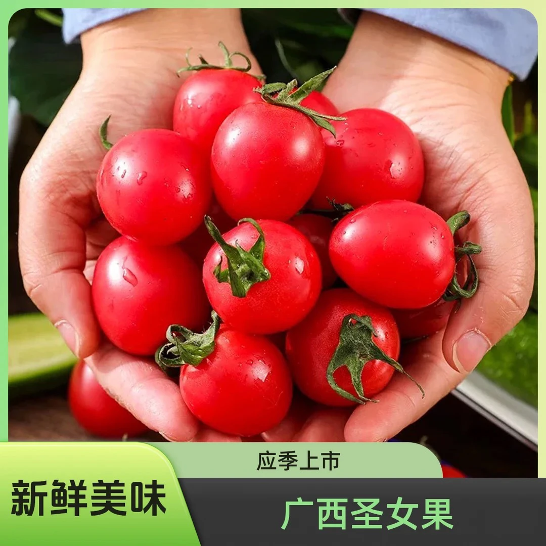 广西圣女果5斤 水果新鲜早餐生吃应季小番茄自然熟酸甜