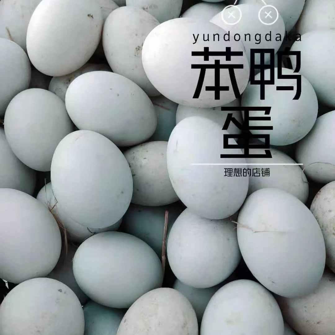 农村散养笨鸭蛋（具体以实物为主，收到货及时从蛋托里取出）