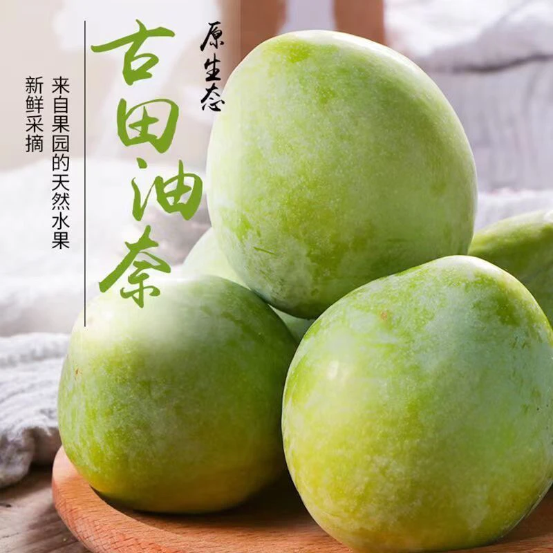 福建古田油奈李新鲜采摘应季水果青奈脆李顺丰整箱包邮
