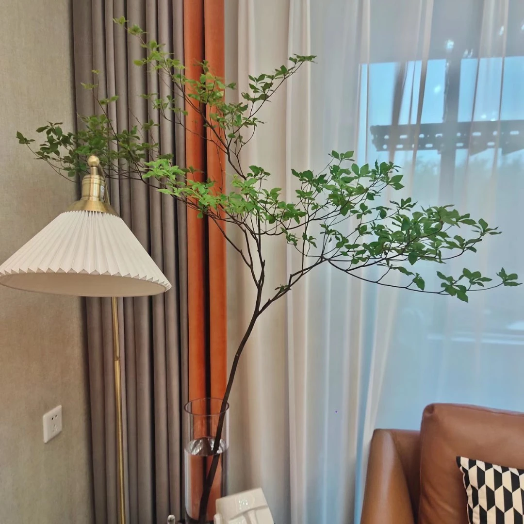 日本进口吊钟绿植鲜切春季室内水养造型植物美观光照根系根部叶片