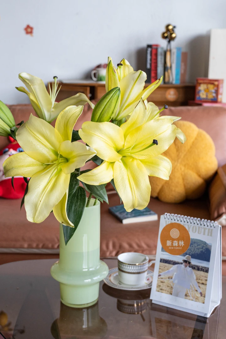 【黄天霸】鲜花云南直发直批昆明斗南花市水养插花新鲜