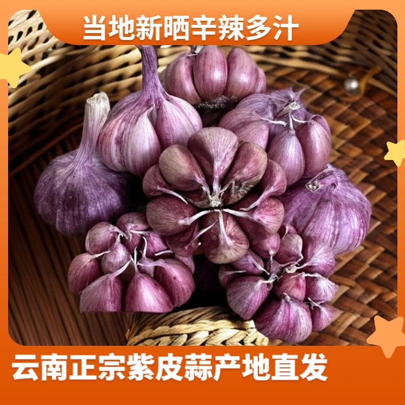 【紫皮干蒜】云南产地直发正宗紫皮大蒜红皮蒜农家自种可做腊八蒜