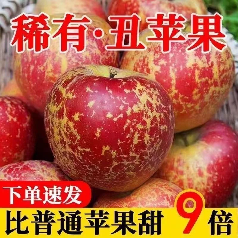 【京东包邮送货上门】正宗四川大凉山丑苹果当季精选水果脆甜多汁