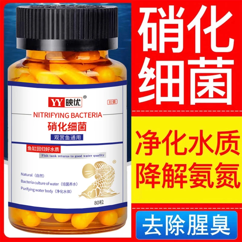 【养鱼神器】硝化细菌水质净化 告别鱼缸浑浊腥臭发黄 打造空气缸