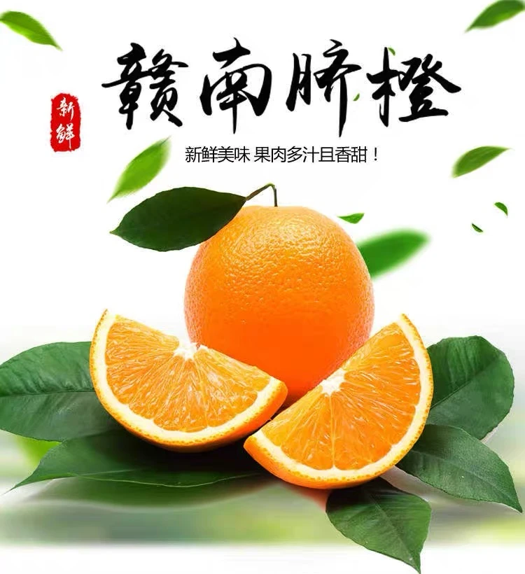 【正宗赣南信丰脐橙】新鲜采摘原产地直发20斤橙香味浓郁皮薄