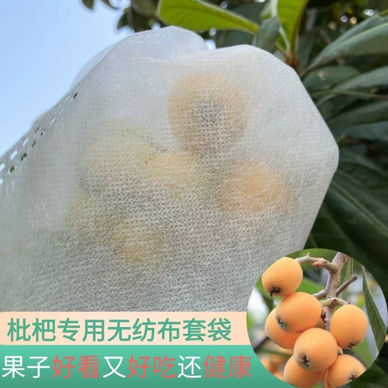 【48小时发货】枇杷套袋专用袋防虫防蜂防果蝇树上果袋 无纺布透
