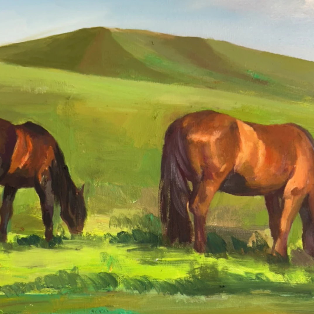 草原风情《蒙古马01》