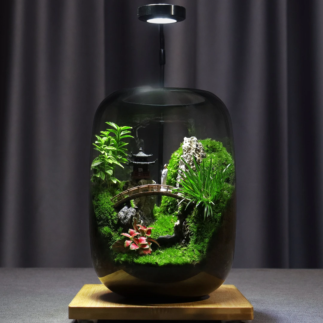 青苔直播【忆江南】中式园林苔藓微景观创意绿植造景成品办公室摆件