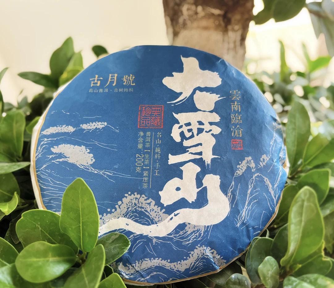 大雪山 2023年古树春 生茶普洱茶 200克/饼高山
