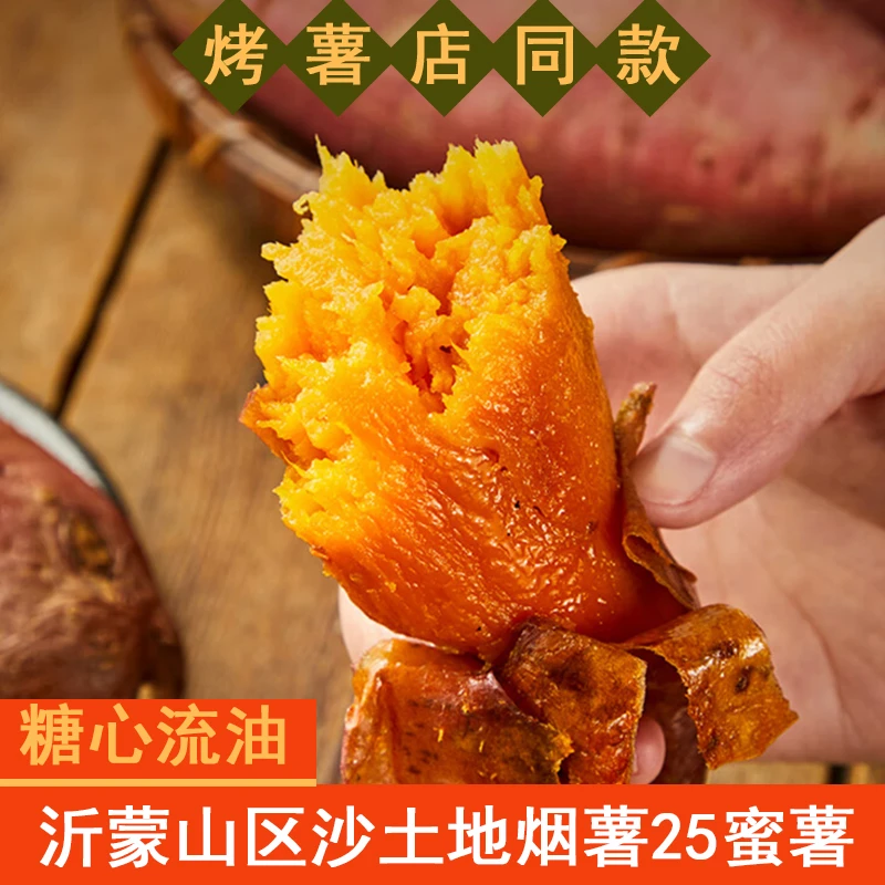新鲜现挖山东烟薯25蜜薯糖心红薯新鲜番薯沙土地烤地瓜山芋1-5斤