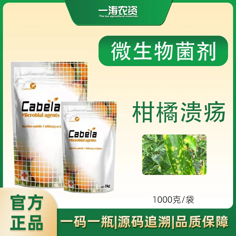真溃独秀微生物菌剂柑橘脐橙溃疡桃树流胶果树新型环保型不伤生长